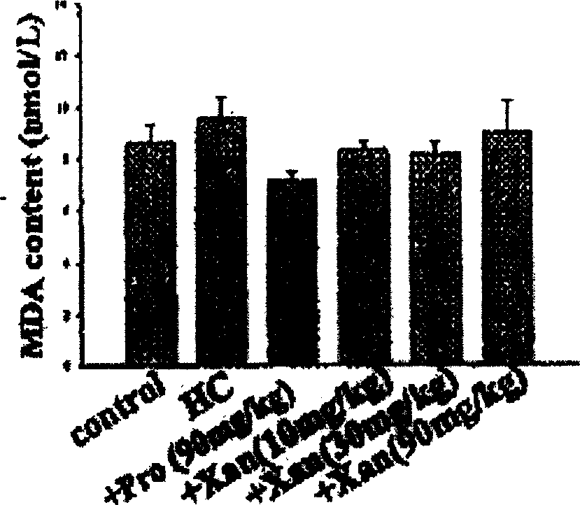 Medicine containing ketone effective component