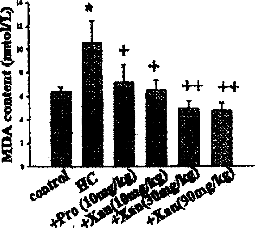 Medicine containing ketone effective component