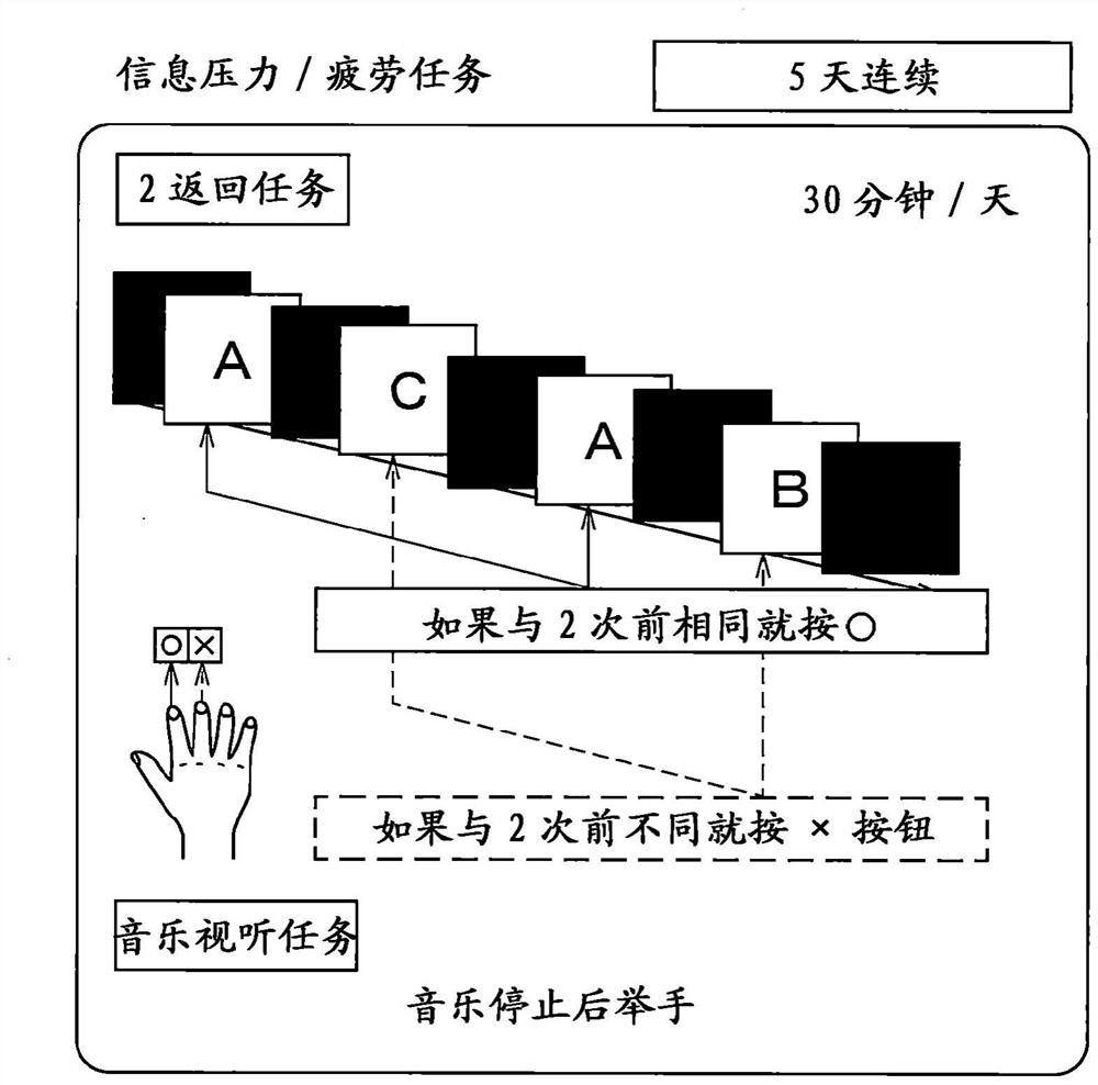 Agent for inhibiting/ameliorating skin roughness caused by fatigue and/or pressure, and method for screening same