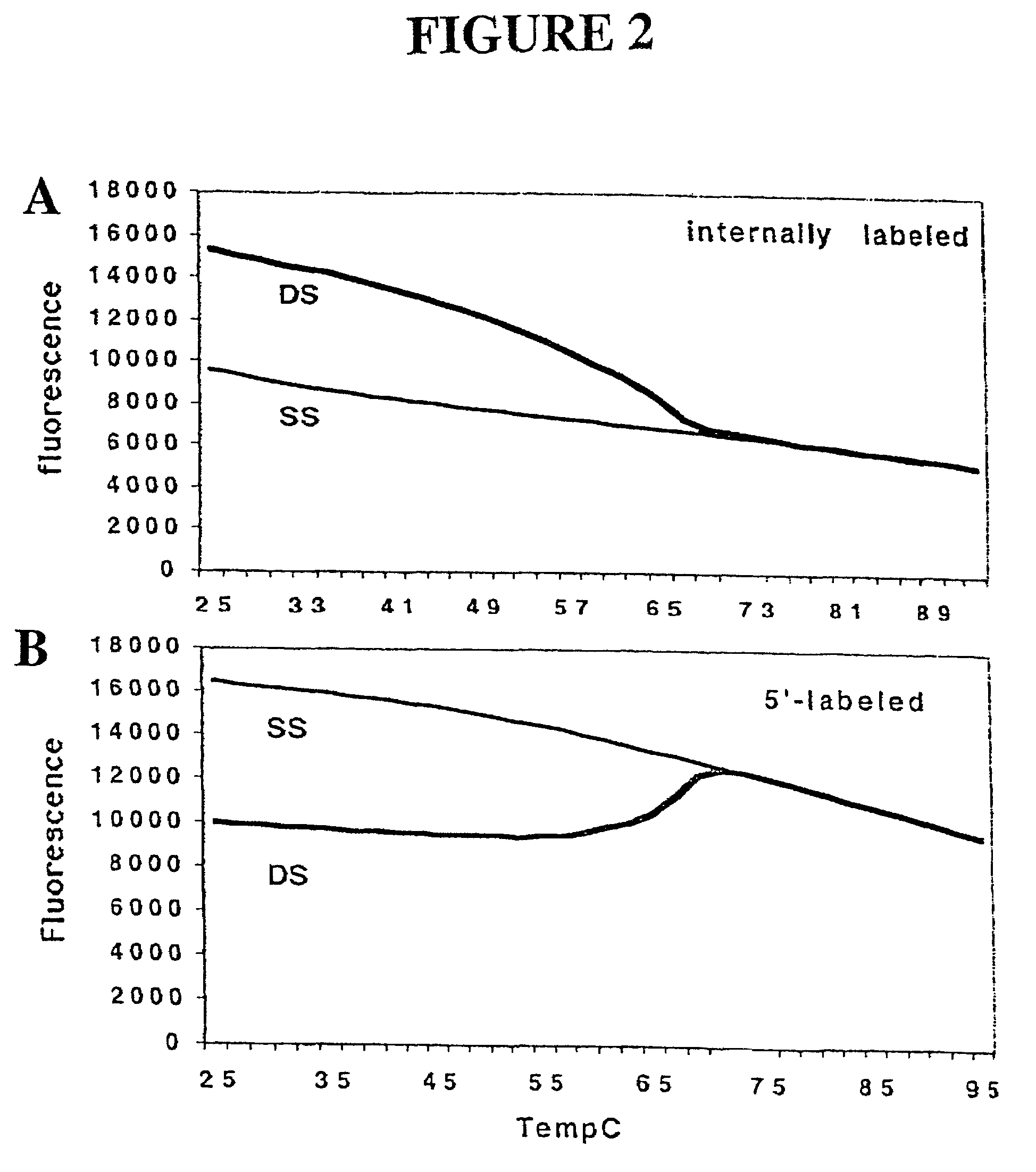 Primers and methods for the detection and discrimination of nucleic acids