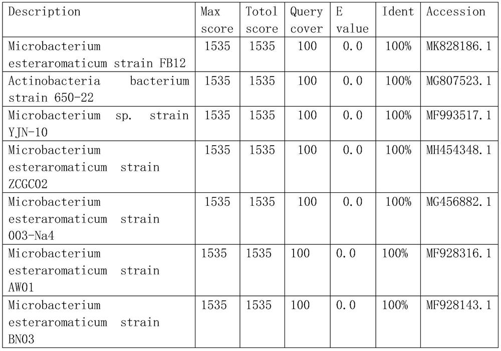 Bacterial strain for degrading high-ring polycyclic aromatic hydrocarbon and application of bacterial strain in pollution remediation