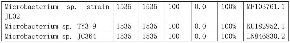 Bacterial strain for degrading high-ring polycyclic aromatic hydrocarbon and application of bacterial strain in pollution remediation