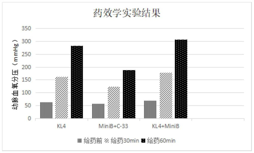 New-generation synthetic pulmonary surfactant preparation and clinical application thereof