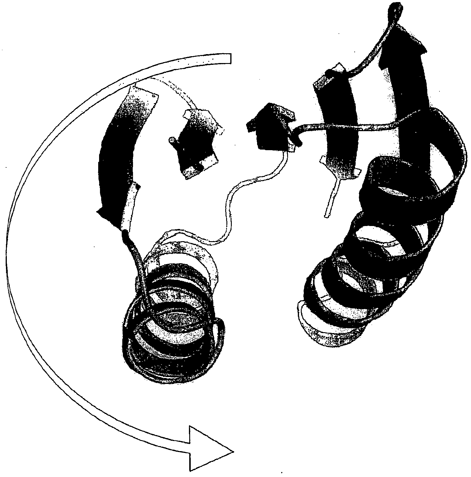 Artificial protein scaffolds