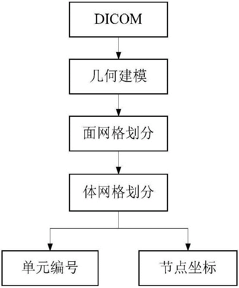 Method for establishing joint cartilage two-phase model on the basis of hyperelastic solid phase characteristics