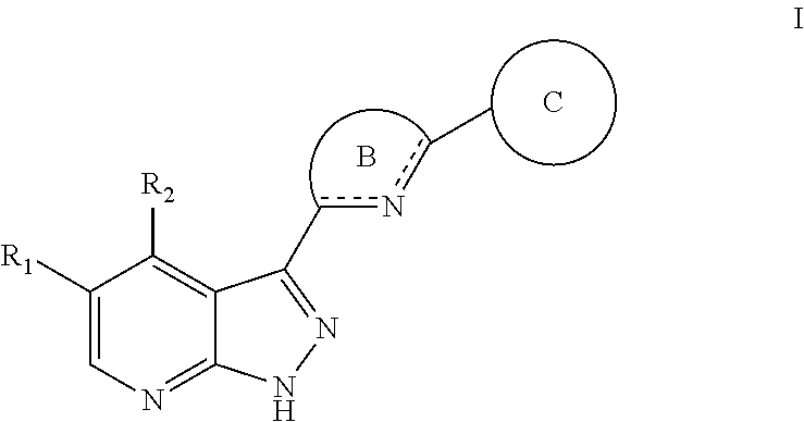 Tri-cyclic pyrazolopyridine kinase inhibitors