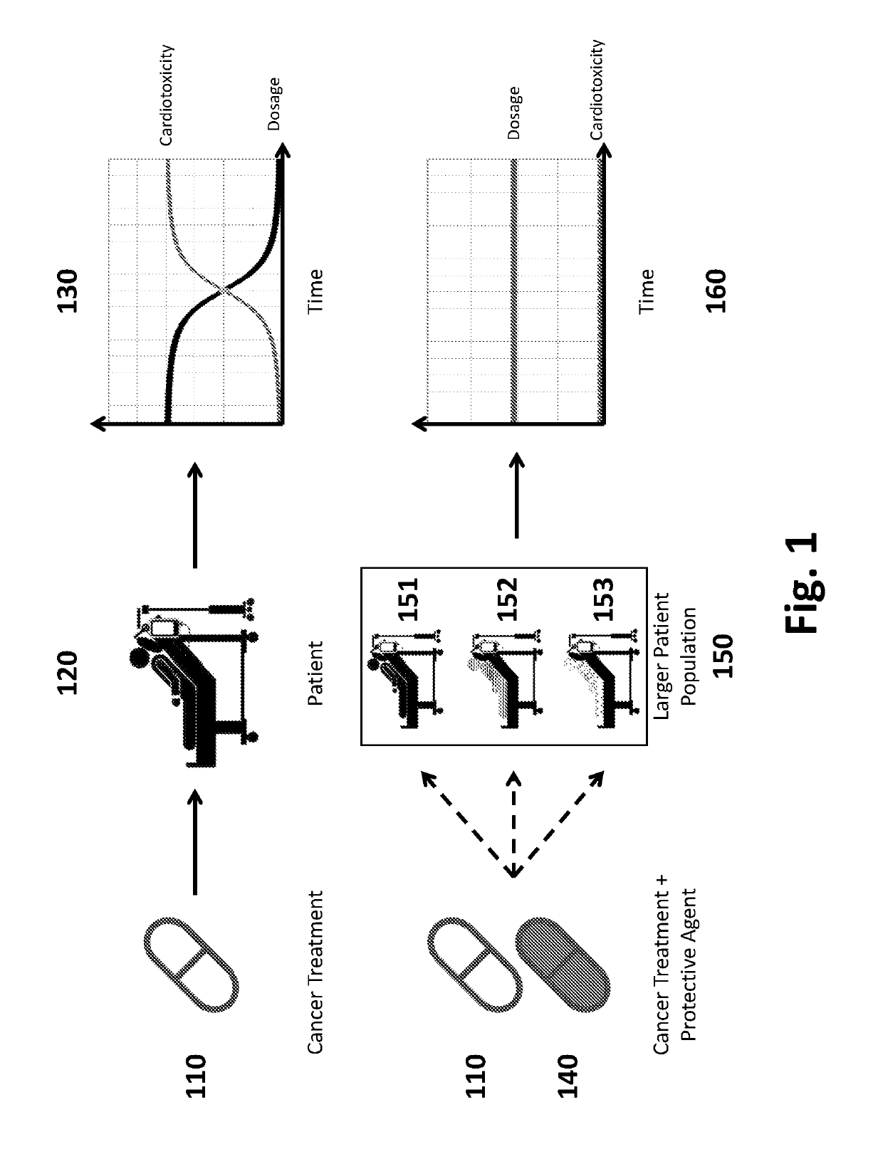 Pharmaceutical Compositions and Methods for Countering Chemotherapy Induced Cardiotoxicity