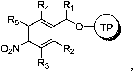 Tripterygium wilfordii derivative and application