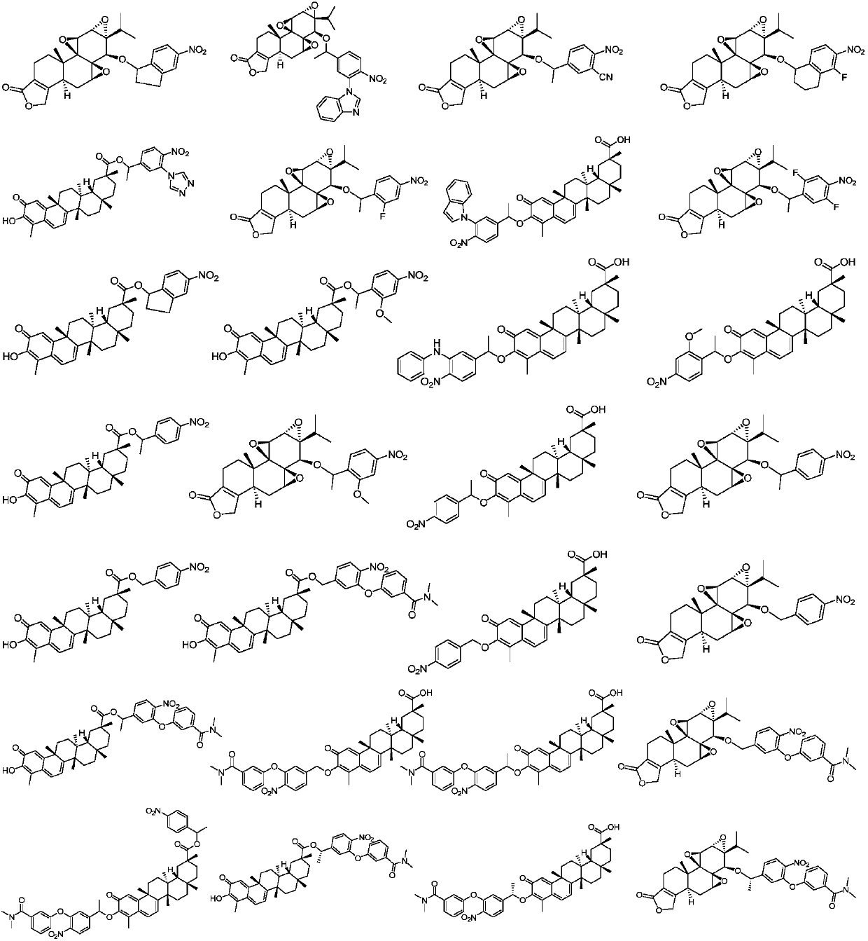 Tripterygium wilfordii derivative and application