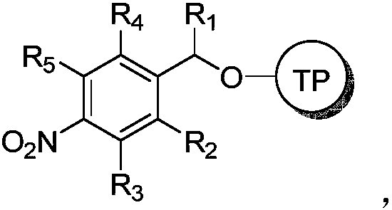 Tripterygium wilfordii derivative and application