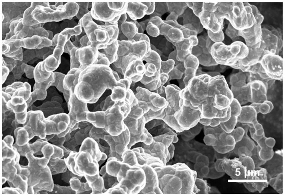 Preparation method of micron-aperture foamy copper