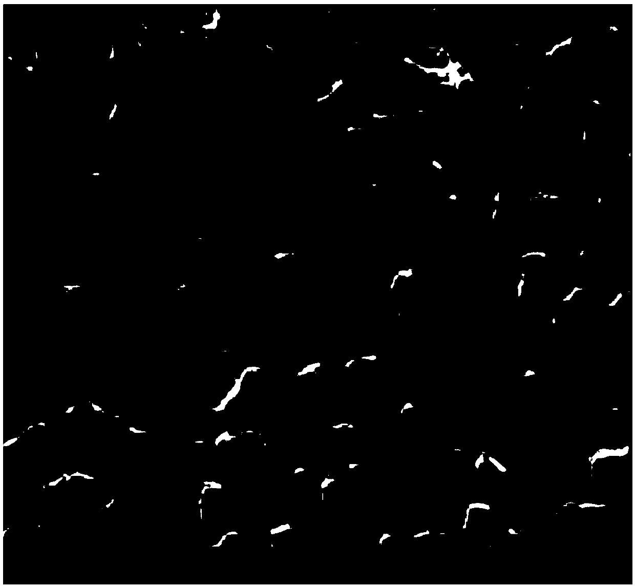 Pressureless sintered conductive silver paste and preparation method thereof