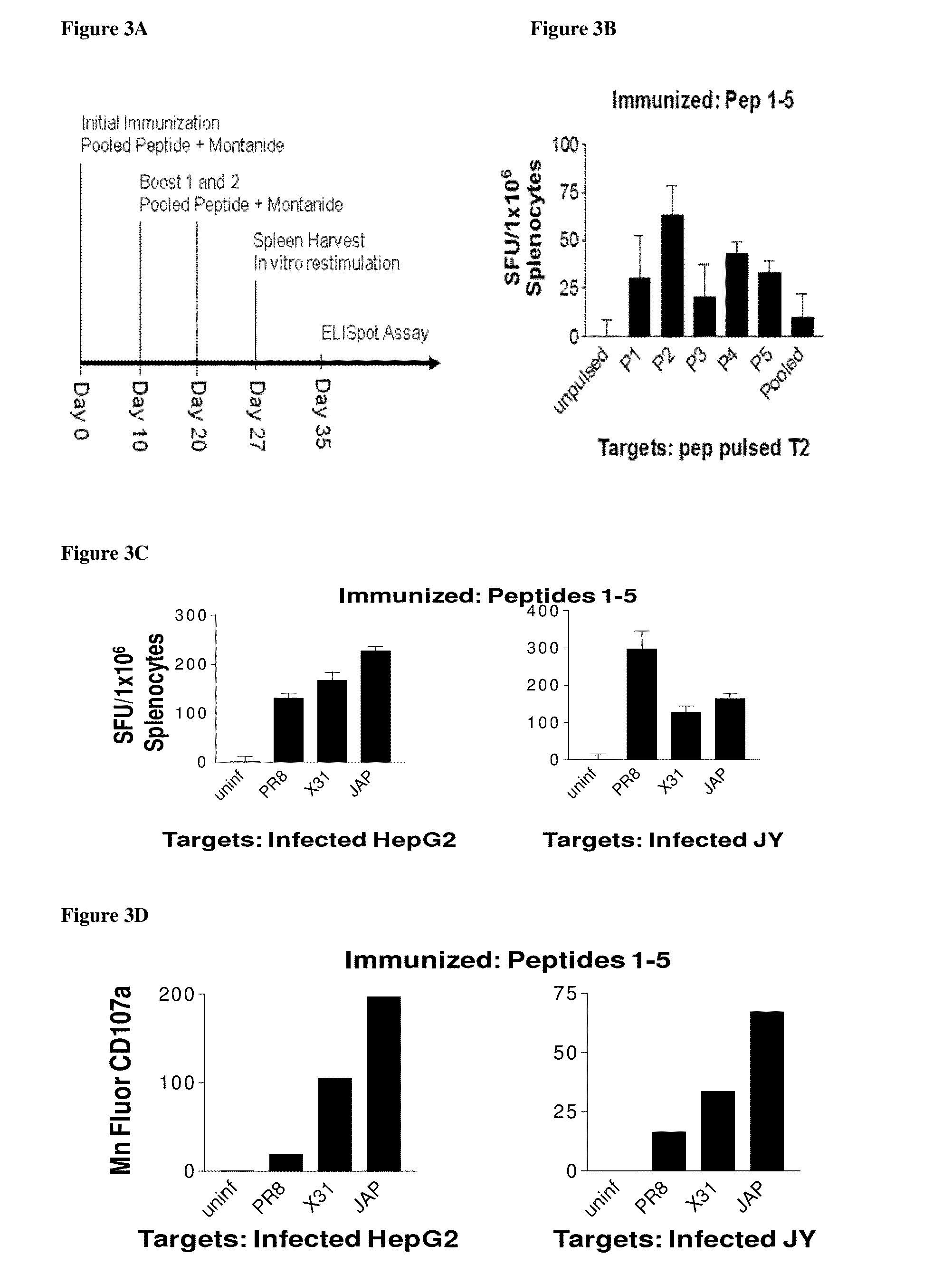 Cytotoxic T Lymphocyte Inducing Immunogens For Prevention Treatment and Diagnosis of INFLUENZA VIRUS INFECTION