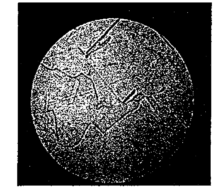 Semiconductor device connection high purity copper fine wire