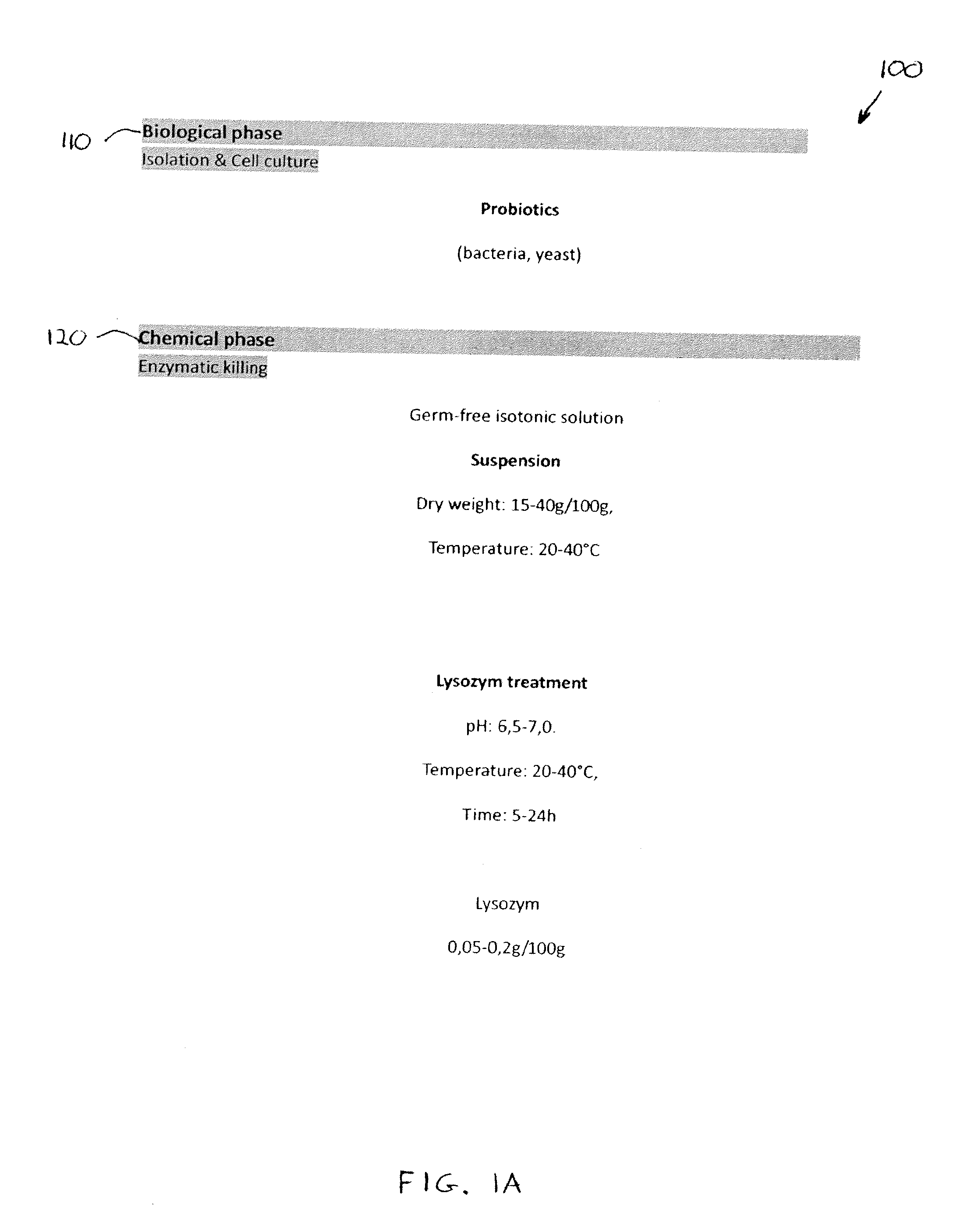 Methods for preparing probiotic nanoparticles