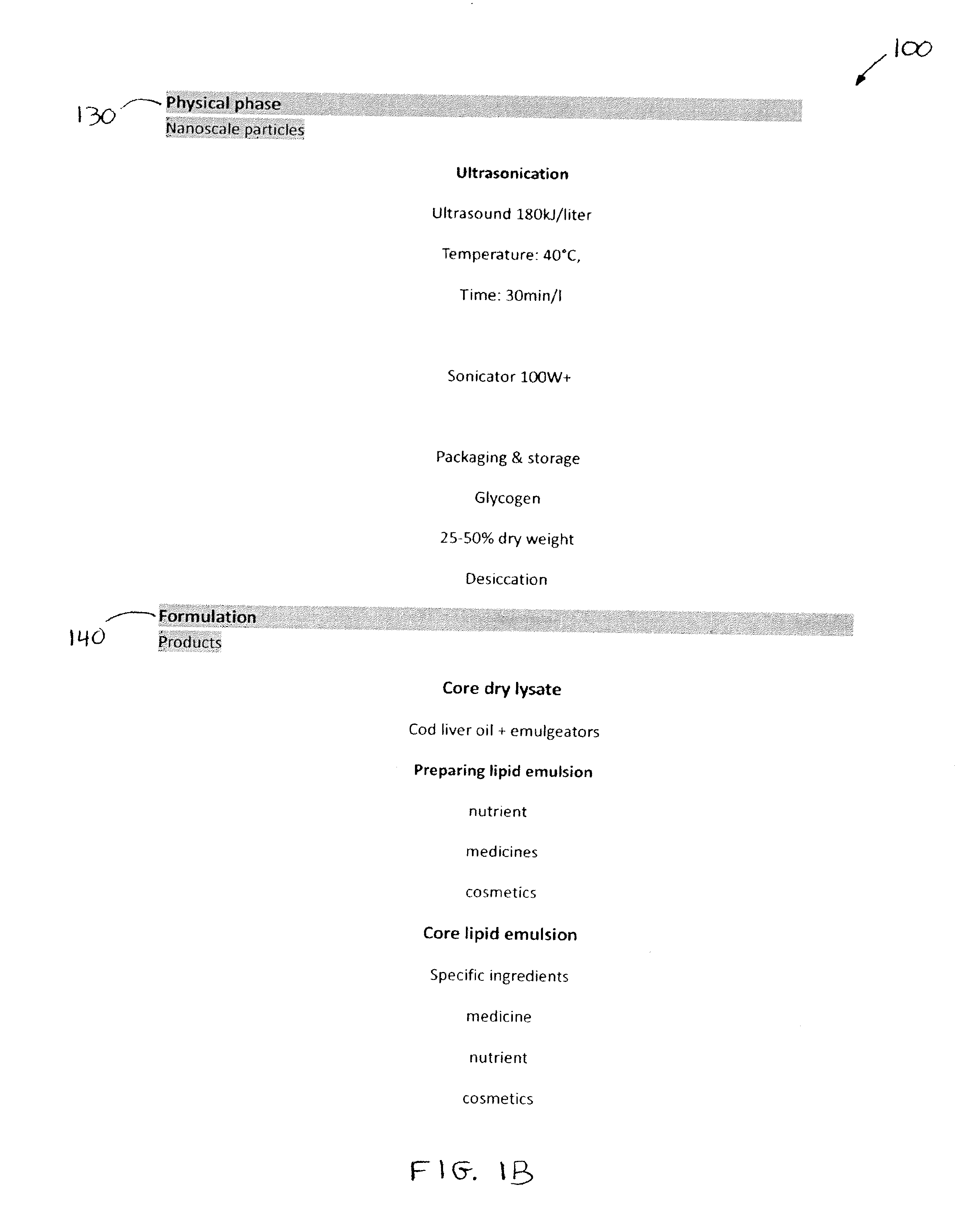 Methods for preparing probiotic nanoparticles