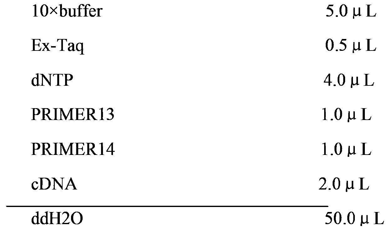 Selenium-containing recombinant human albumin preparation method