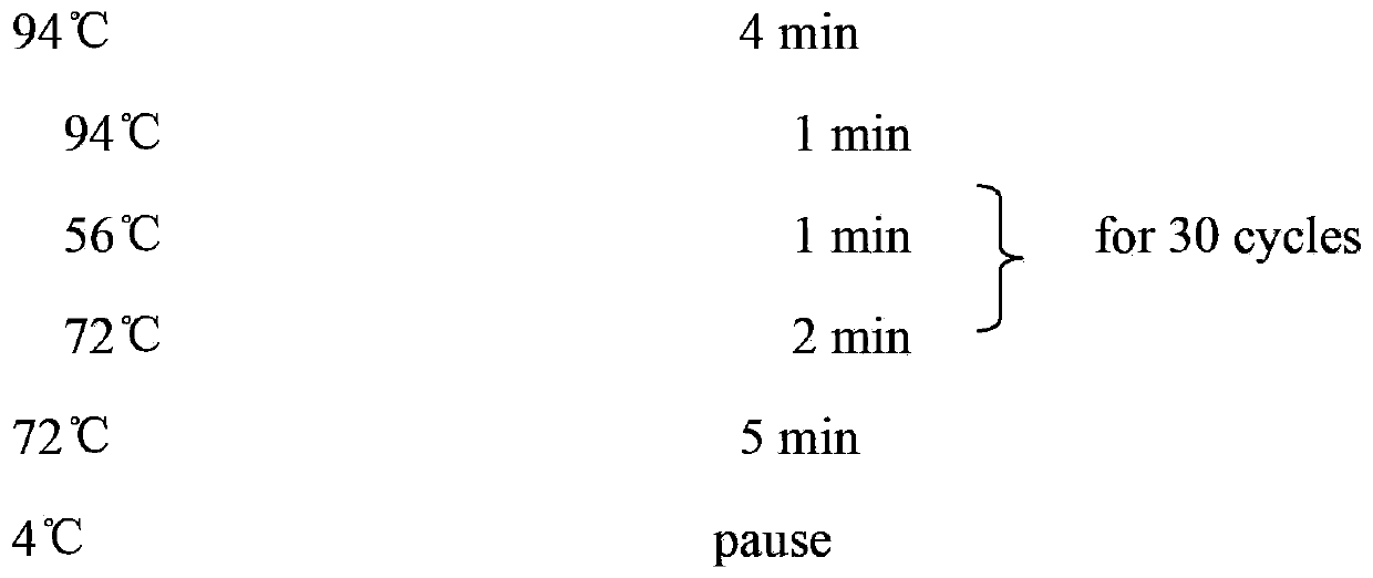 Selenium-containing recombinant human albumin preparation method