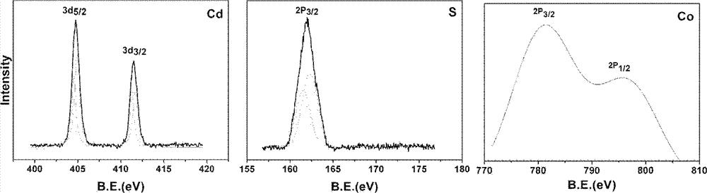 Preparation method of rock-salt mine structure Co-doped CdS diluted magnetic semiconductor nanoparticles