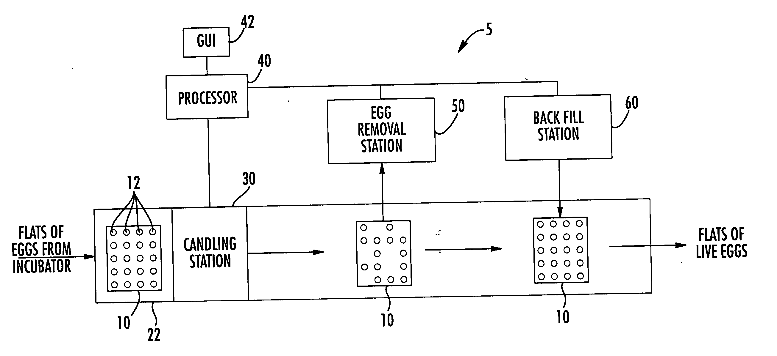 Methods and apparatus for identifying and diagnosing live eggs using heart rate and embryo motion