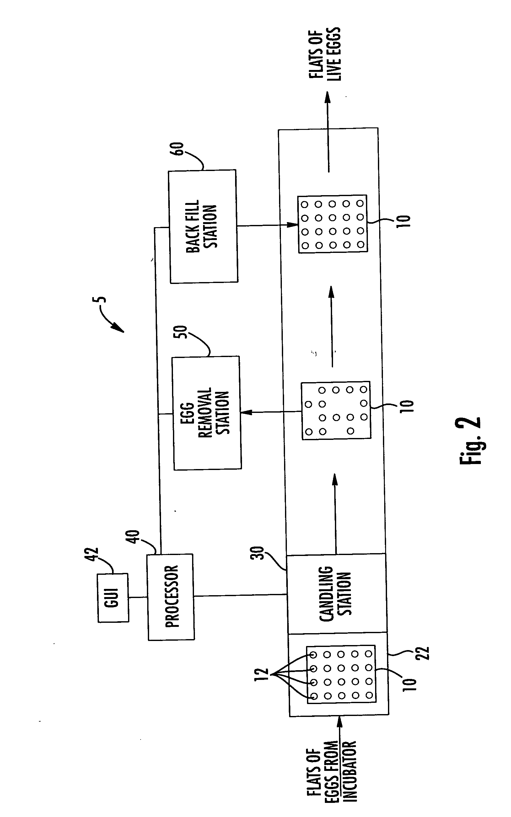 Methods and apparatus for identifying and diagnosing live eggs using heart rate and embryo motion