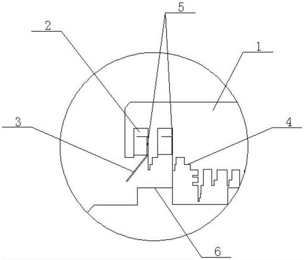 Novel self-adjustment spring type steam seal