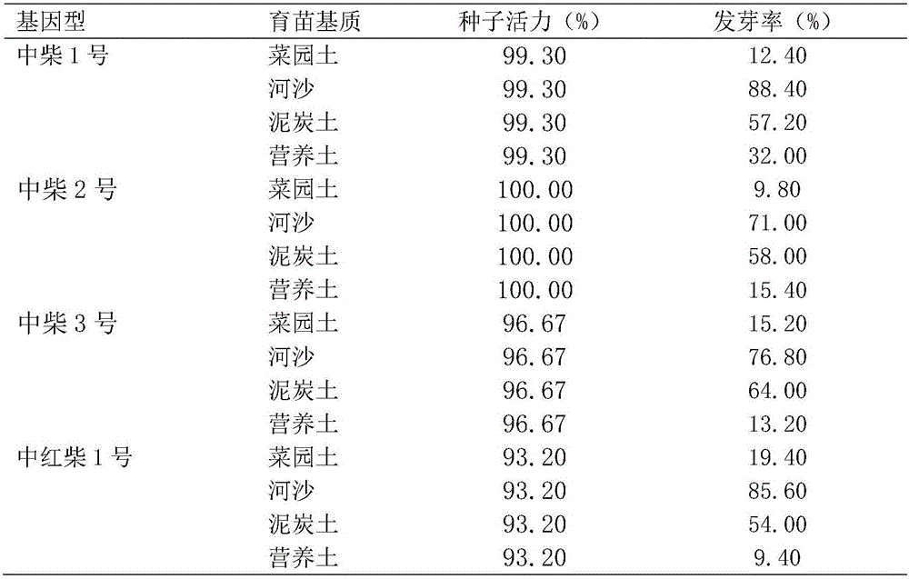 Rapid and efficient radix bupleuri seedling culturing method