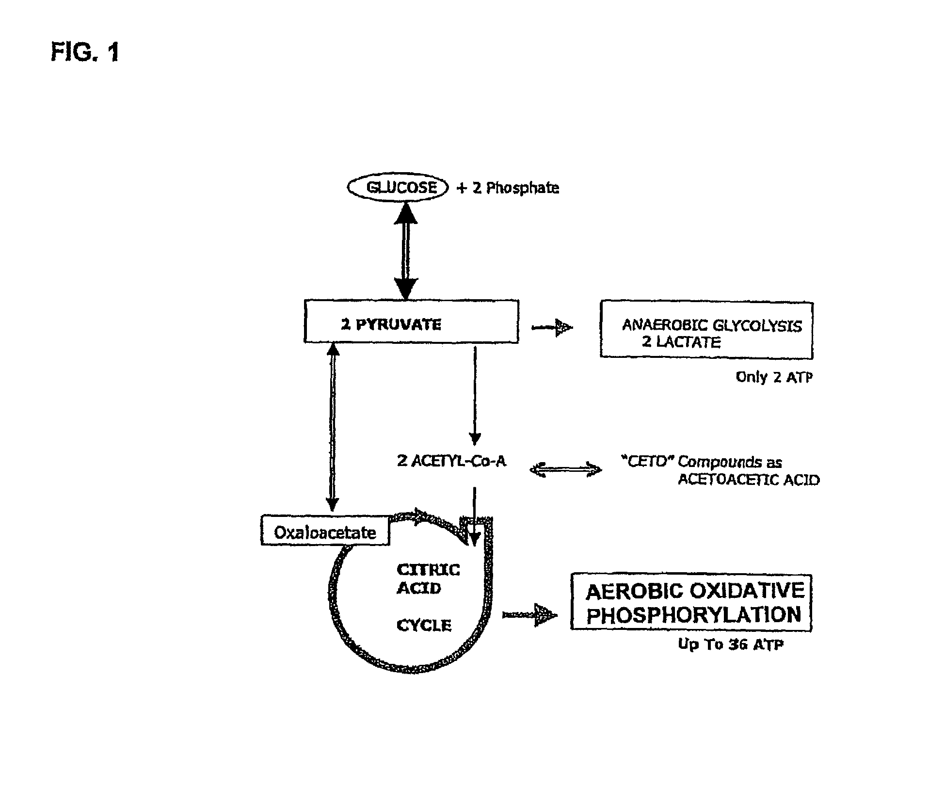 Medium and methods for the storage of platelets