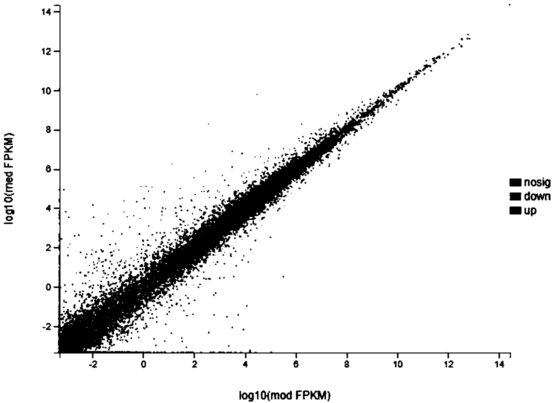 Method for utilizing gene chip to analyze lipopolysaccharide to stimulate variation of expression profile of dairy cow mammary epithelial cells