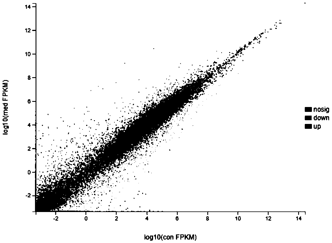 Method for utilizing gene chip to analyze lipopolysaccharide to stimulate variation of expression profile of dairy cow mammary epithelial cells