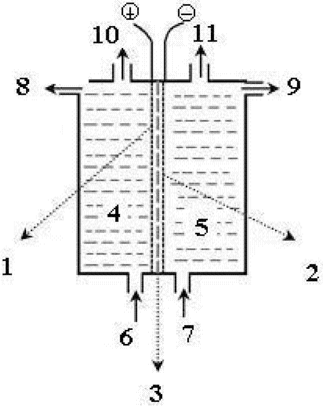 Method for preparing high-purity quaternary ammonium hydroxide by electrolyzing organic ammonium salt with perfluorinated ion exchange membrane in chlor-alkali