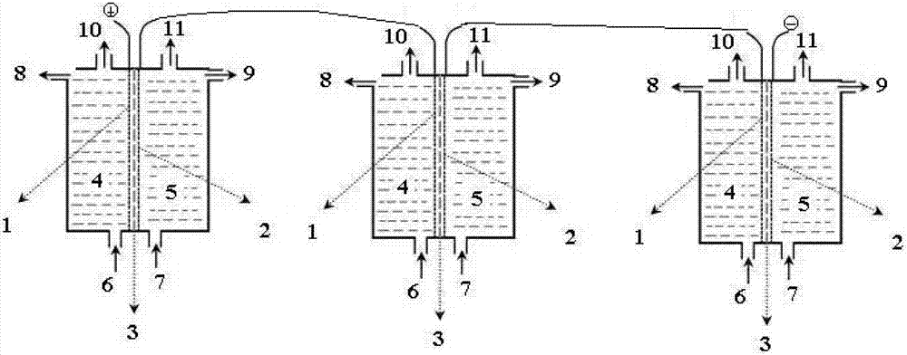 Method for preparing high-purity quaternary ammonium hydroxide by electrolyzing organic ammonium salt with perfluorinated ion exchange membrane in chlor-alkali