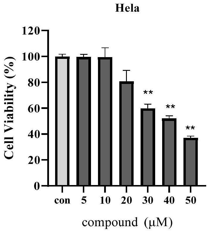 Preparation of isopentenyl flavone and application of isopentenyl flavone as medicine for treating cervical cancer