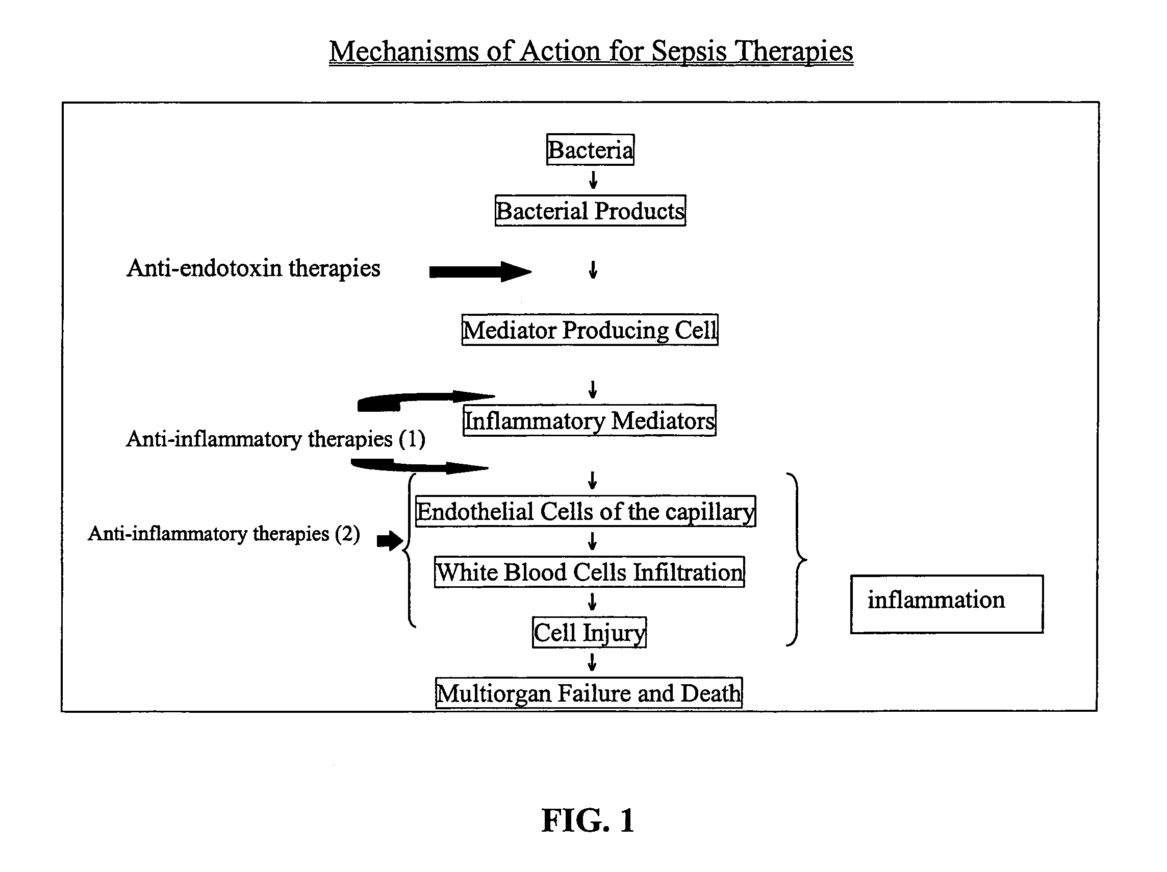 Method of treating or inhibiting the development of brain inflammation and sepsis