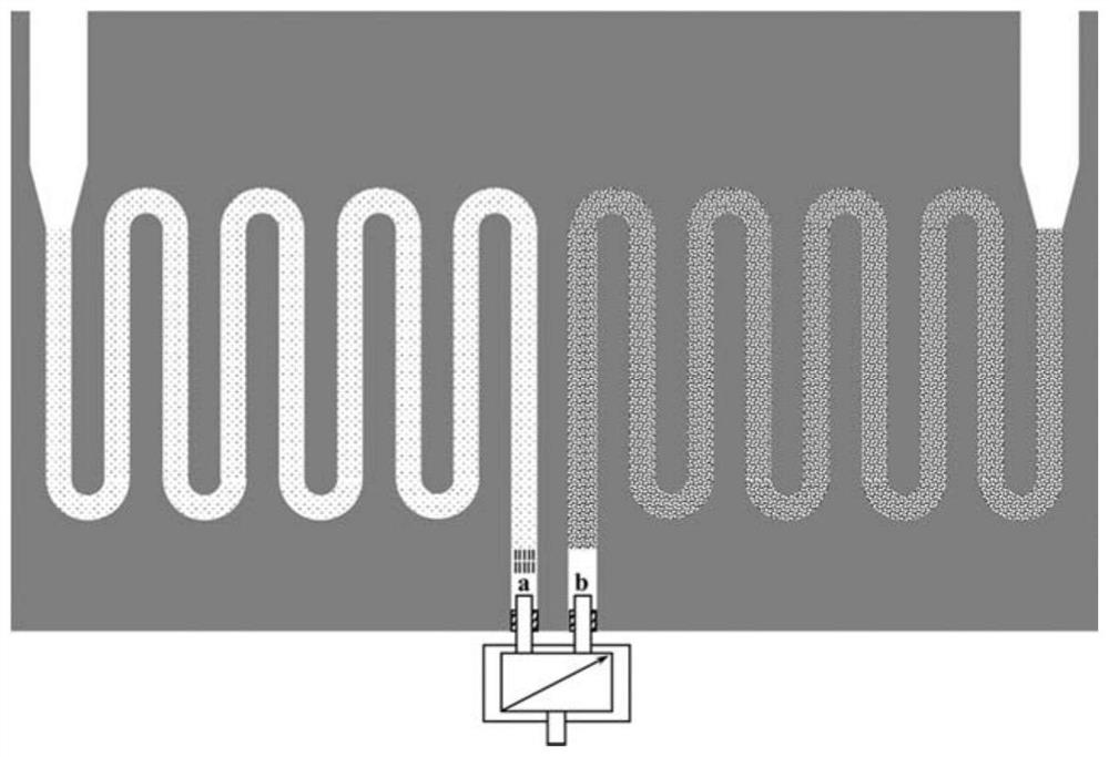 Multi-channel miniature gas chromatographic column chip and preparation method