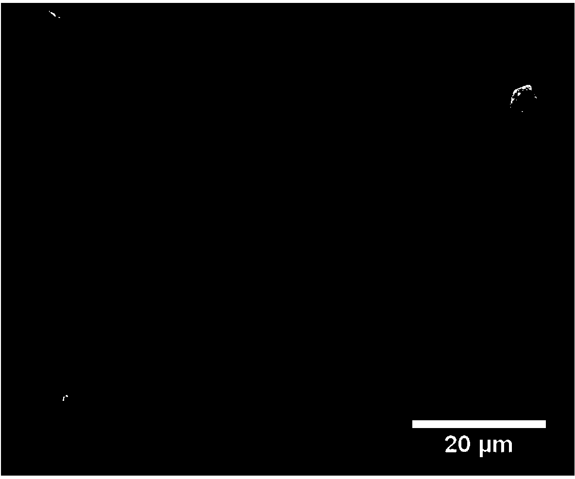 Anticoagulation coating material and preparation method thereof