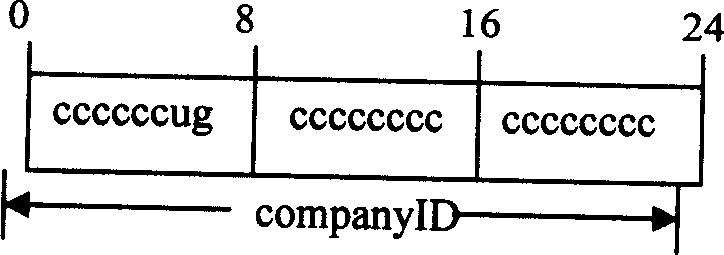 Separating and merging IPv6 address space of switching network in hierarchy mode