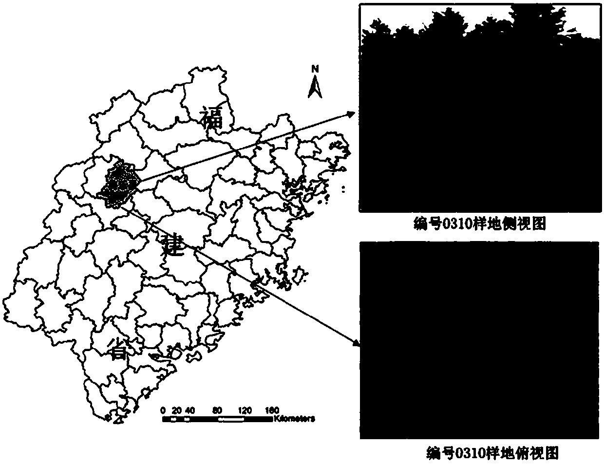 High-canopy-closure forest sample plot tree height extraction method combining UAV image and TLS point cloud