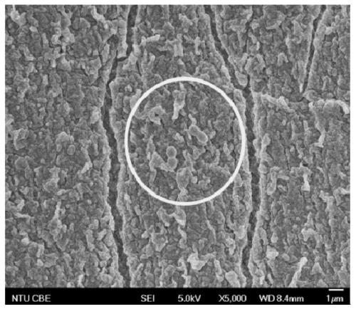 A kind of antibacterial and anti-protein adhesion coating and preparation method thereof