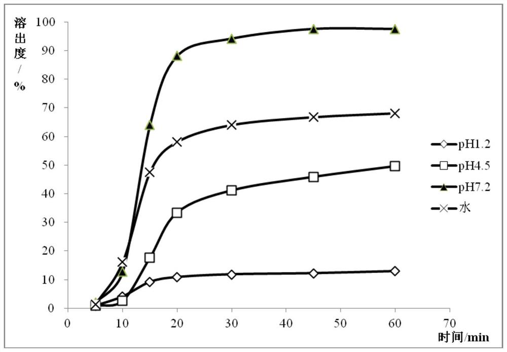 A kind of ibuprofen pharmaceutical preparation composition and preparation method thereof