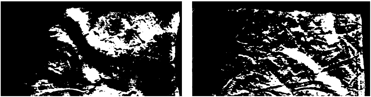 Camellia oil soap powder and preparation method thereof