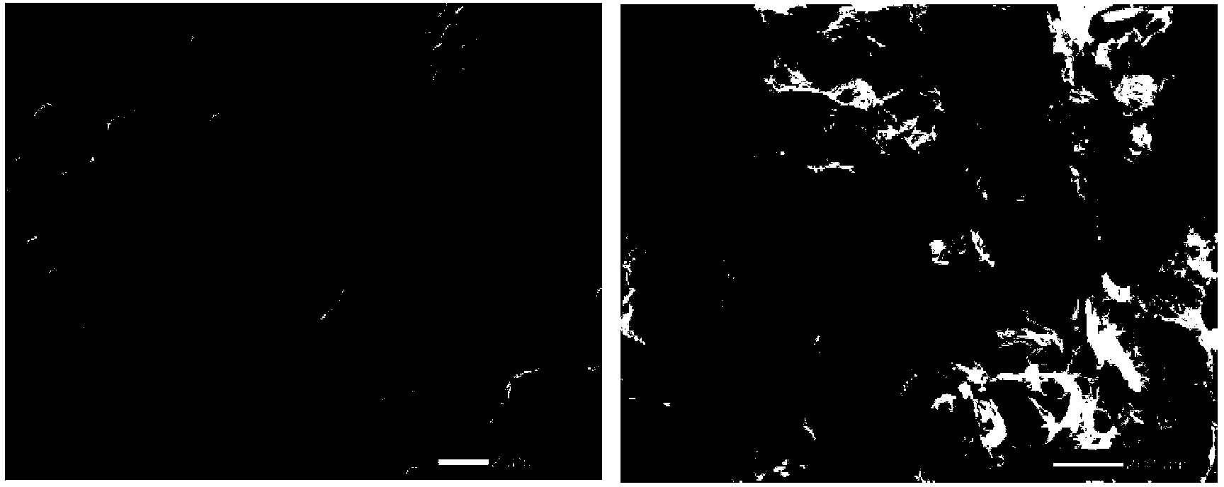 Method for preparing porous compound type high permeability absorption hemostasis coating with modified nano-crystalline cellulose