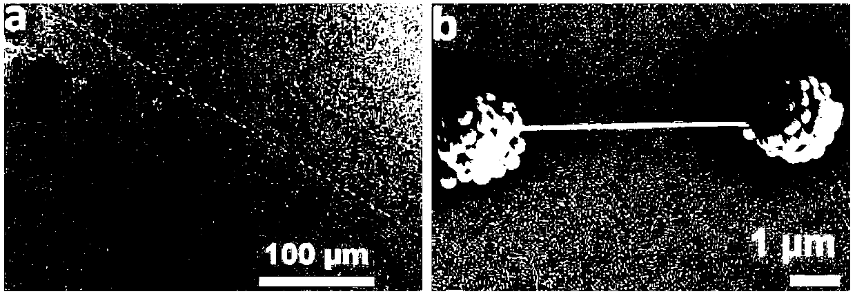 Nano material and application thereof, and method and device for preparing nano material