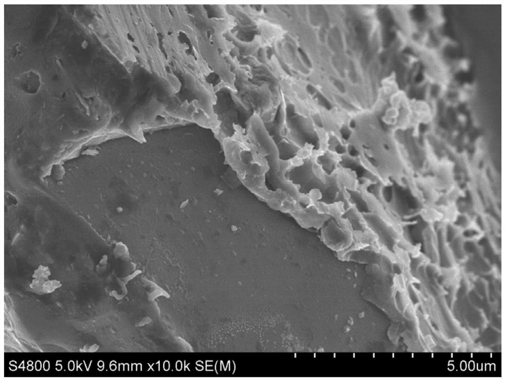 A core-shell sic@c catalyst for microwave-assisted catalytic depolymerization of solid waste and its preparation method