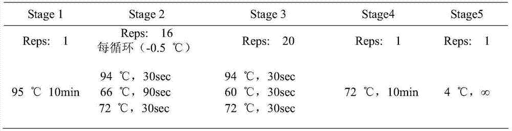 Method and primer for detection of polymorphic site of seventh exon of WT1 gene