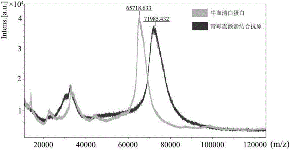 Penitrem A combined antigen as well as preparation and application of antibody of antigen