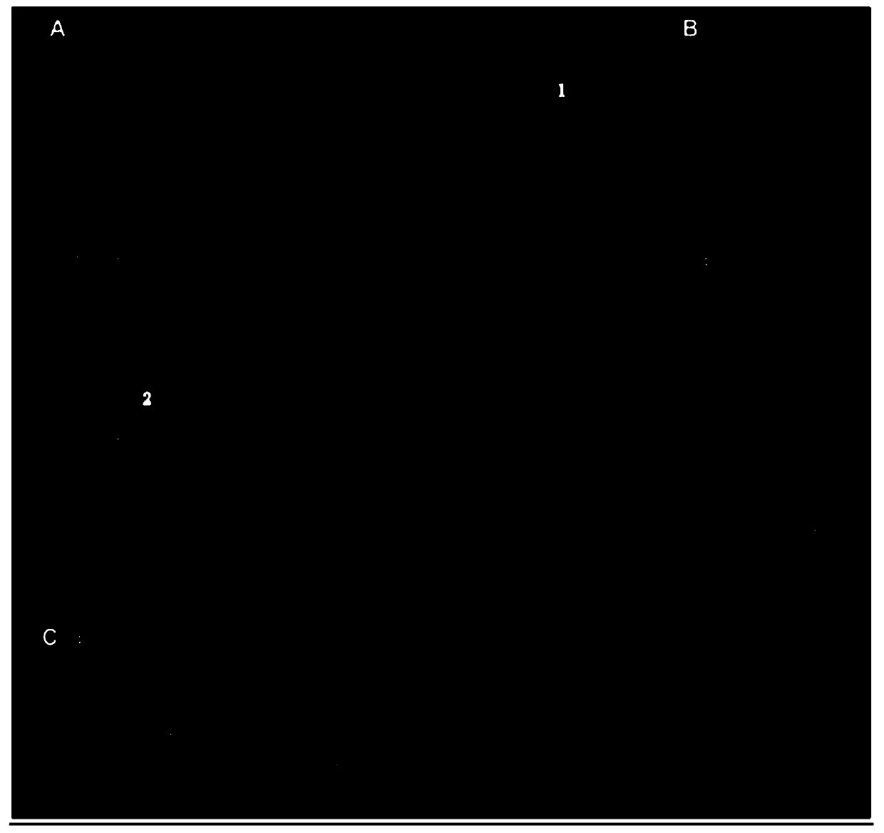 A kind of polypeptide hydrogel, its preparation method and application