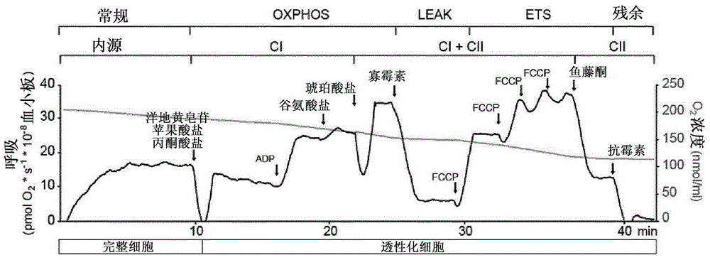 Mitochondrial toxicity test