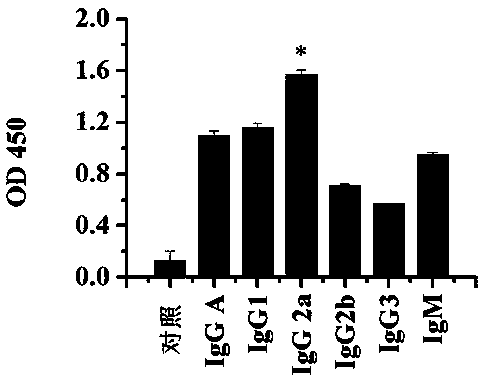 Preparation and application of neutralizing monoclonal antibody of anti-hepatitis C virus