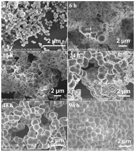 Spherical covalent organic framework material, preparation method and application thereof